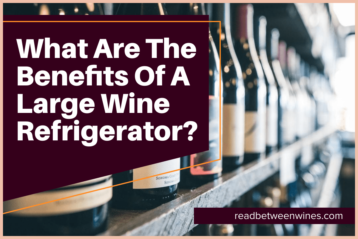 What Are The Benefits Of A Large Wine Refrigerator