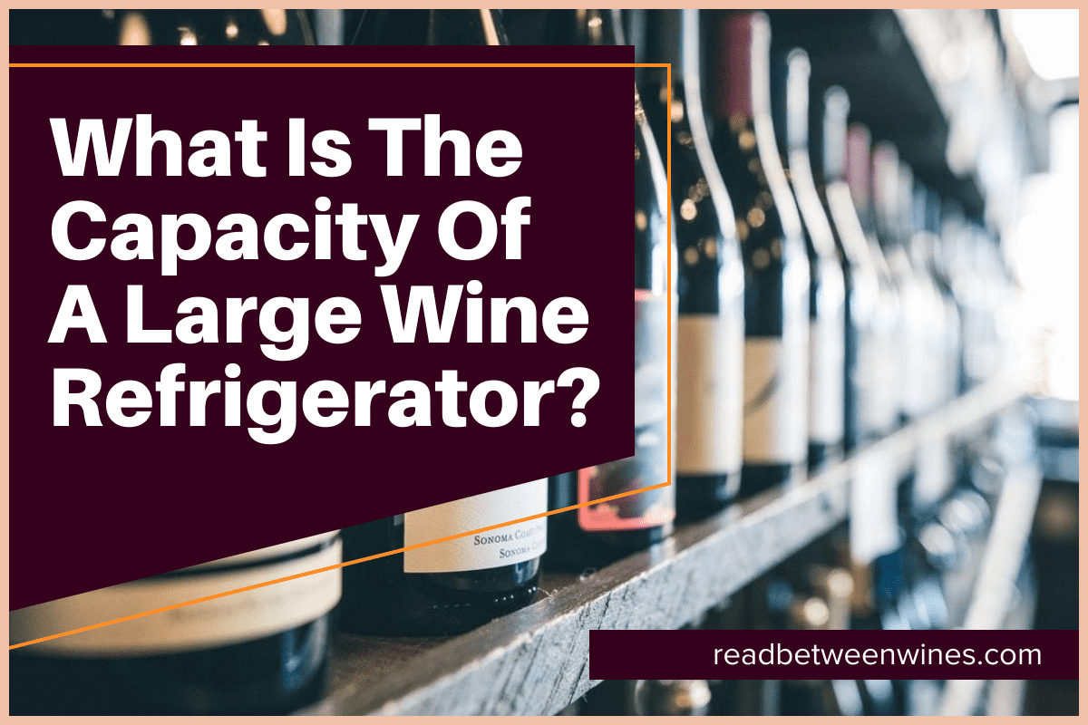 What Is The Capacity Of A Large Wine Refrigerator