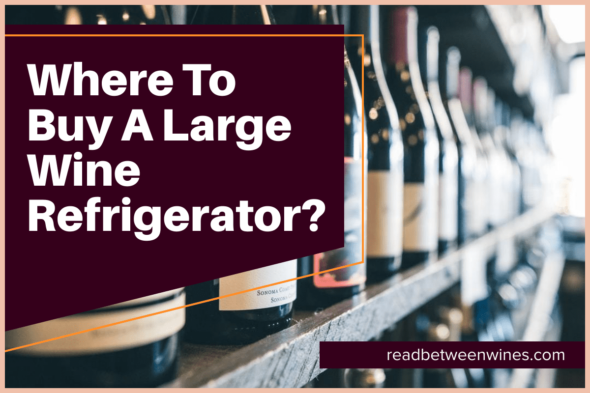 Where to buy a large wine fridge