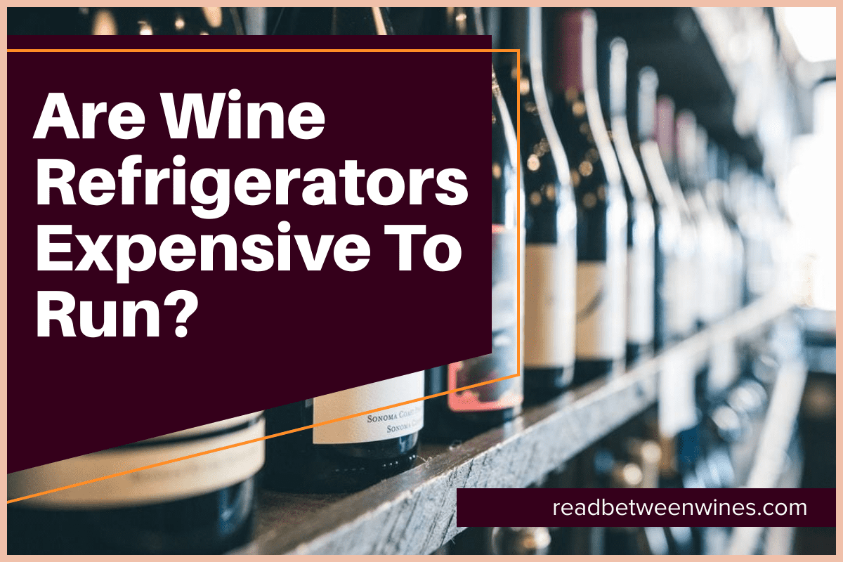 Are Wine Refrigerators Expensive To Run