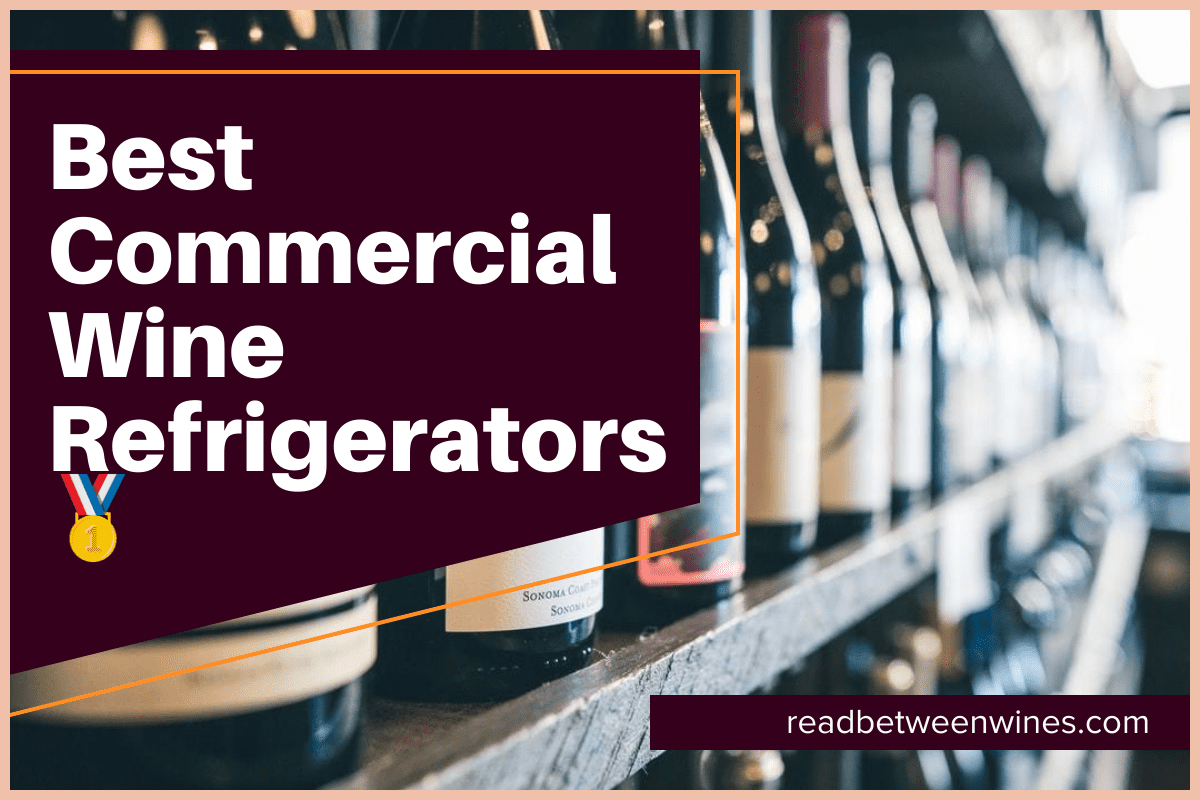 Best Commercial Wine Refrigerators