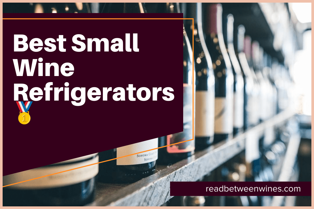 Best Small Wine Refrigerators