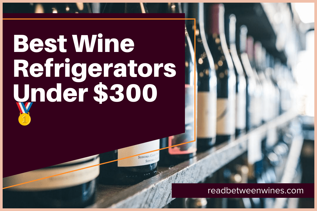 Best Wine Refrigerators Under $300