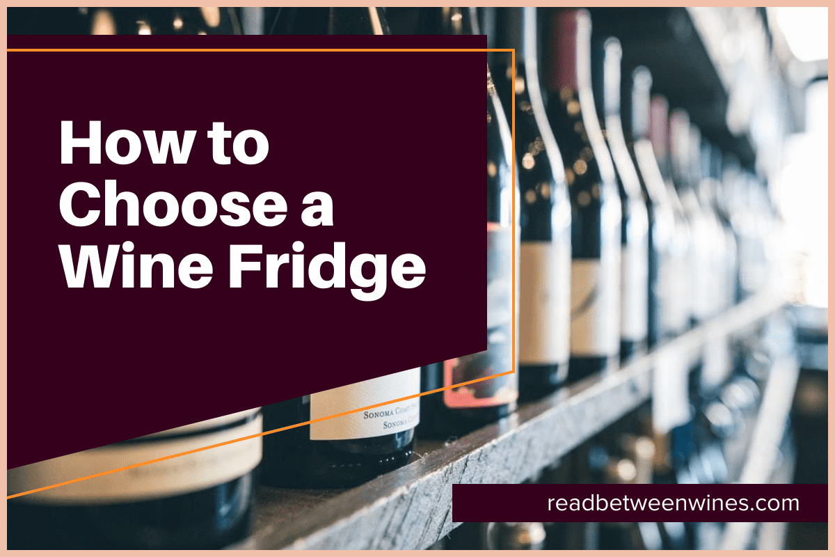 How to Choose a Wine Fridge