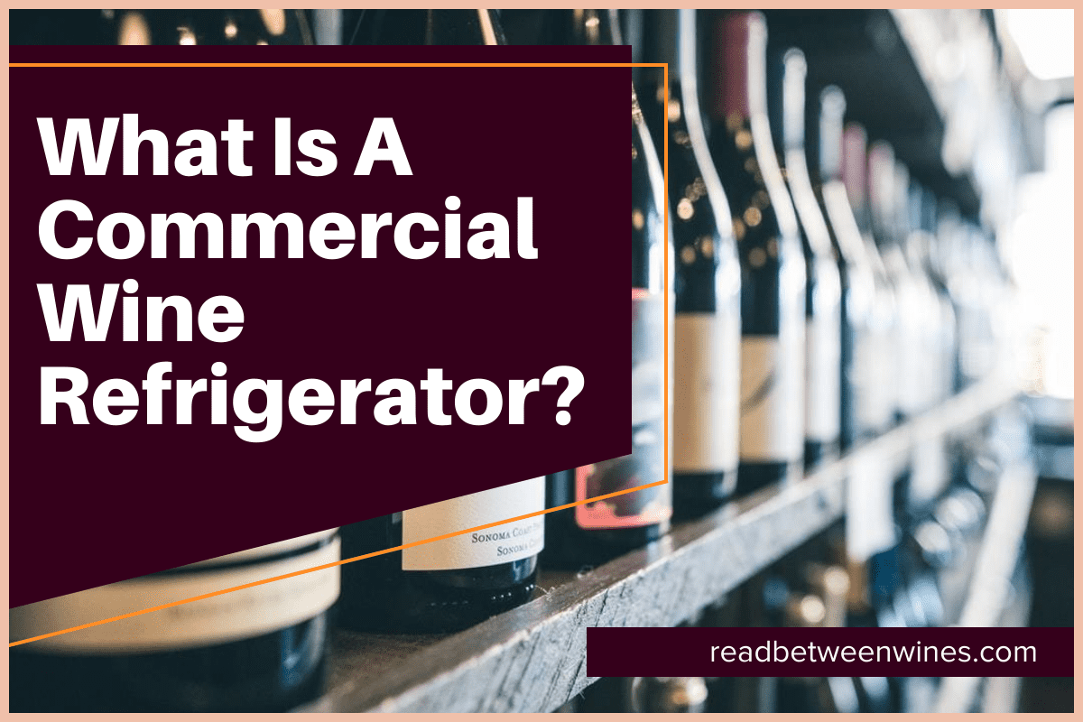 What Is A Commercial Wine Fridge