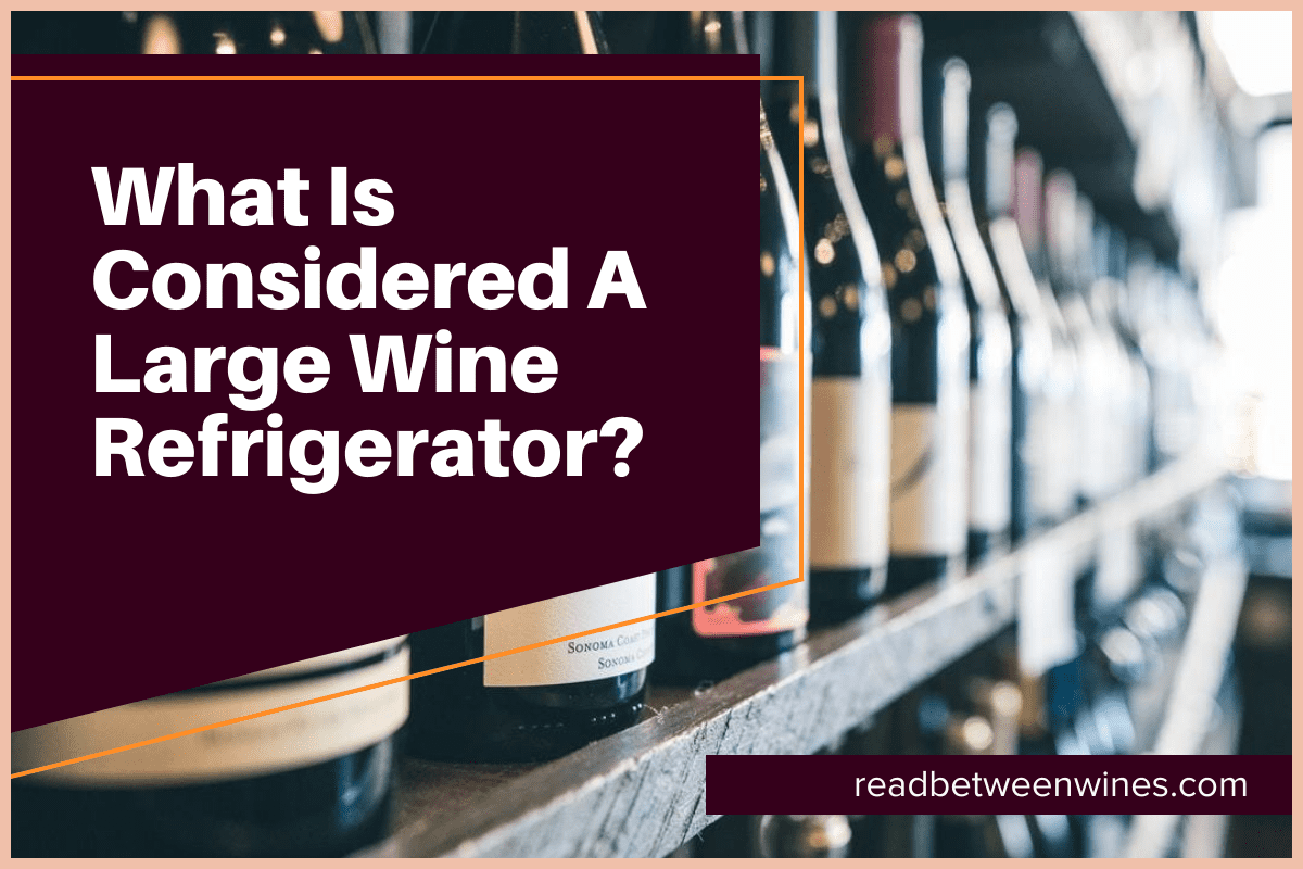 What Is Considered A Large Wine Refrigerator