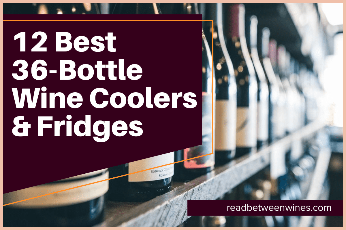 36-Bottle Wine Coolers & Fridges