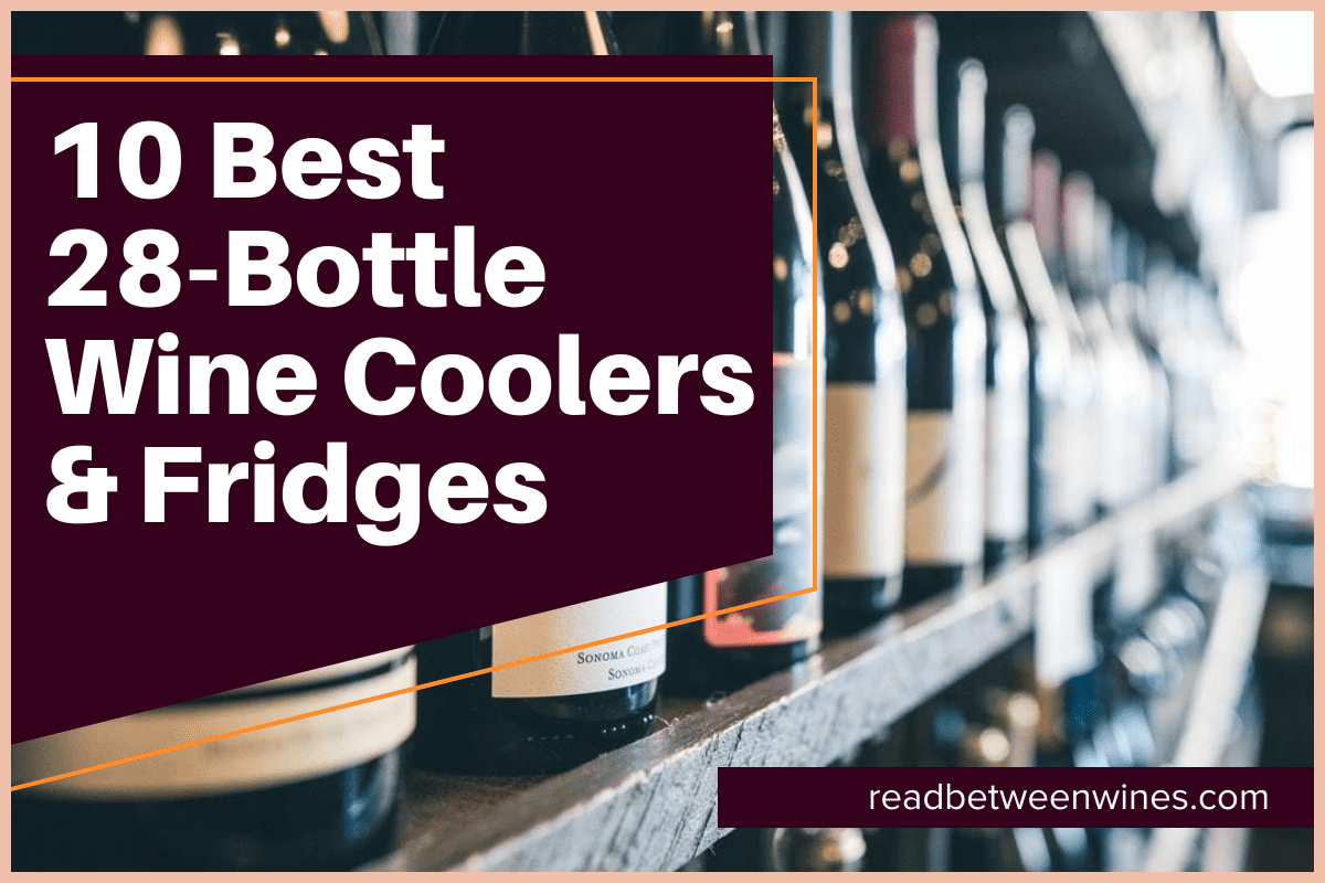 10 Best 28-Bottle Wine Coolers & Fridges