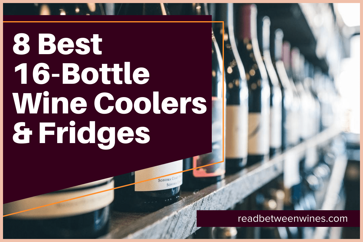 8 Best 16-Bottle Wine Coolers & Fridges