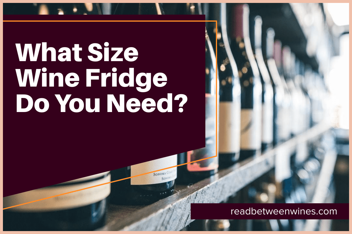 What Size Wine Fridge Do You Need?