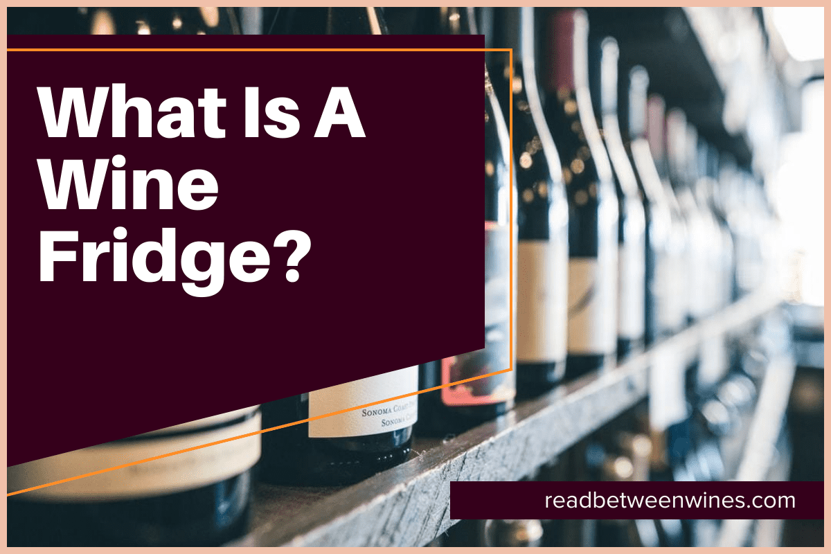 What Is A Wine Fridge?