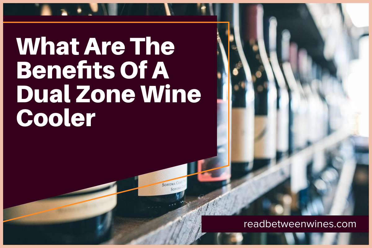 What Are The Benefits Of A Dual Zone Wine Cooler