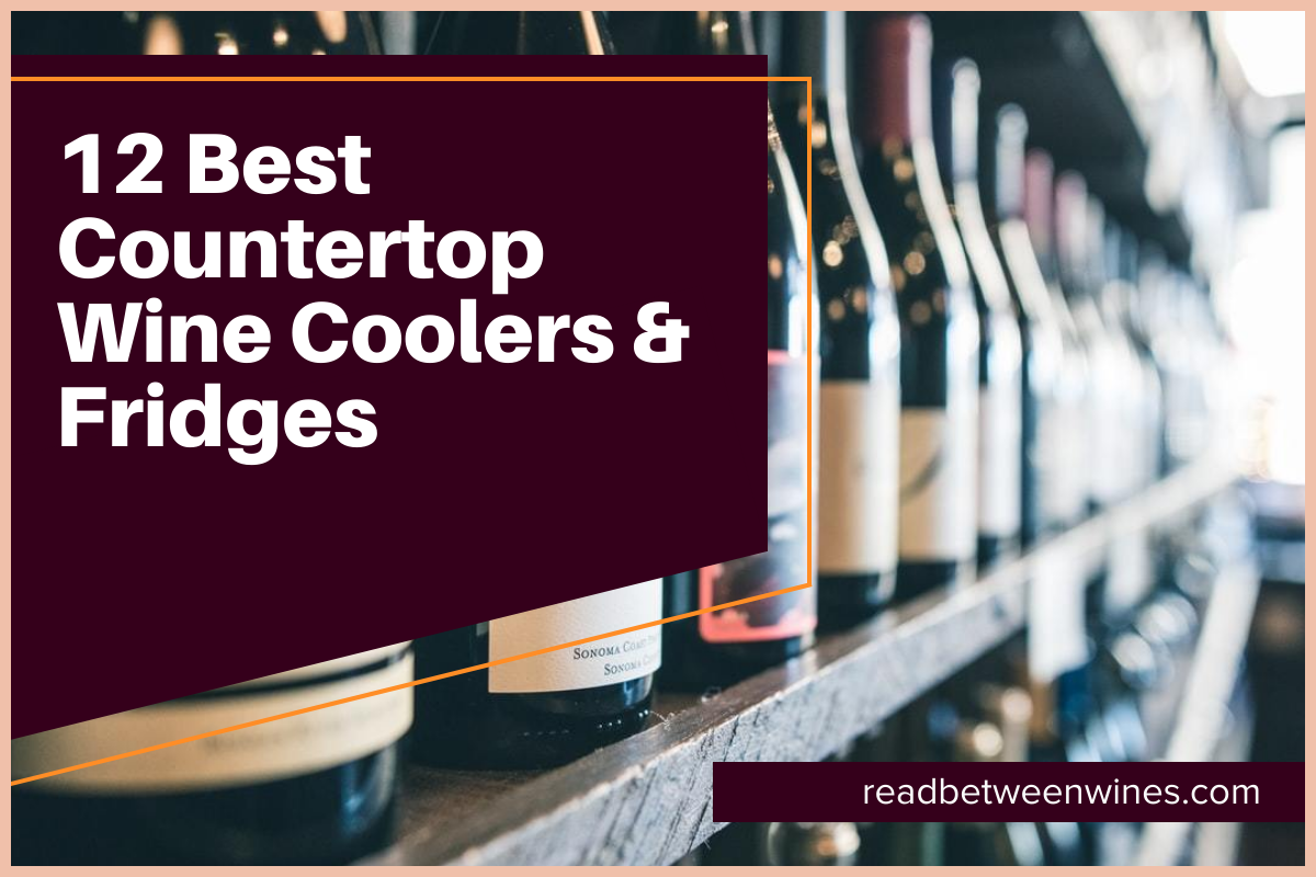 12 Best Countertop Wine Coolers & Fridges