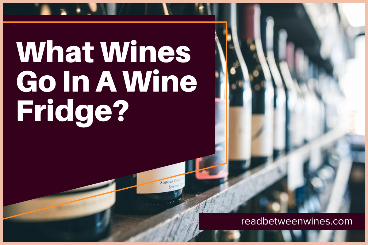 What Wines Go In A Wine Fridge?