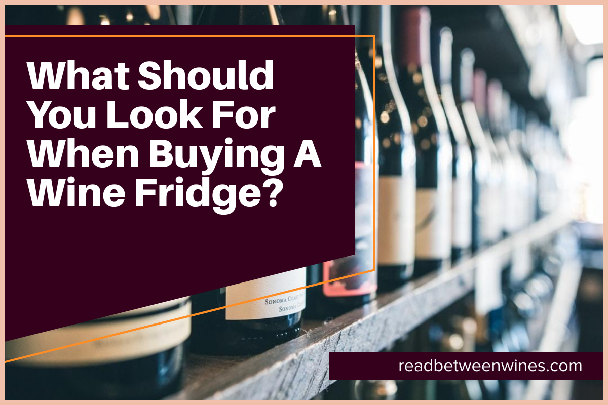 What Should You Look for When Buying a Wine Fridge?