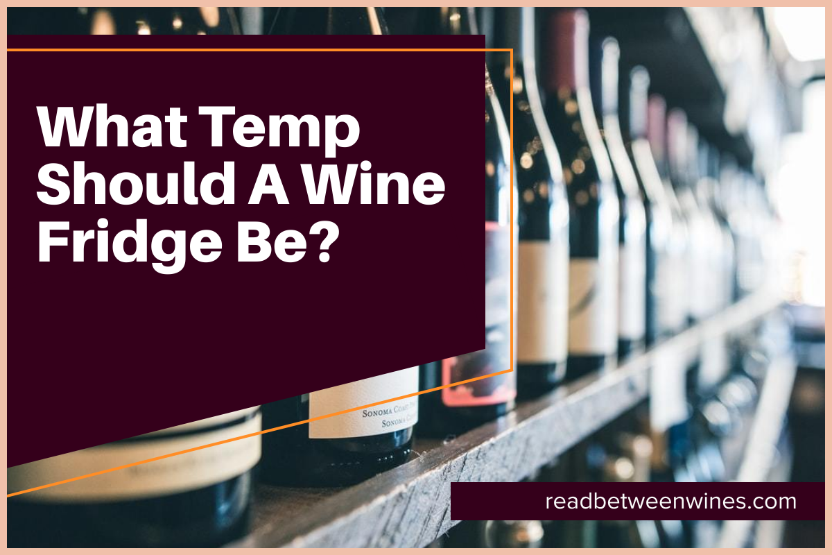 What Temp Should A Wine Fridge Be?