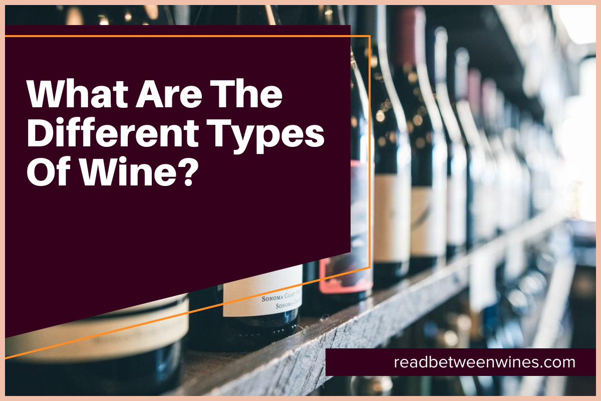 What Are The Different Types Of Wine?