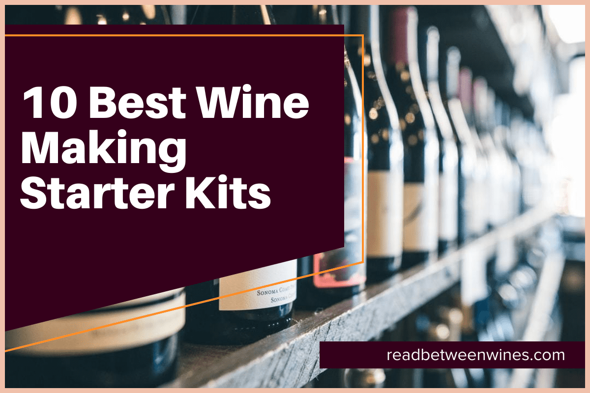 10 Best Wine Making Starter Kits