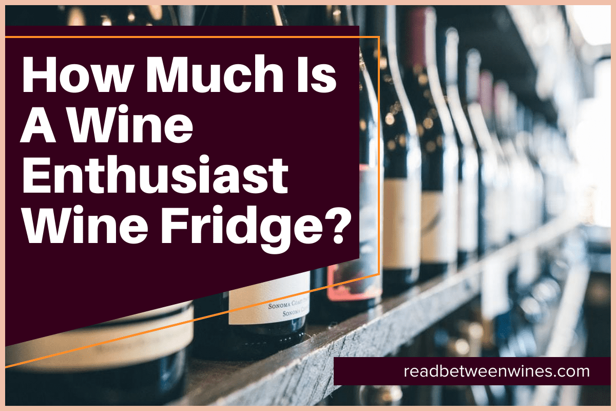 A Wine Enthusiast Wine Fridge