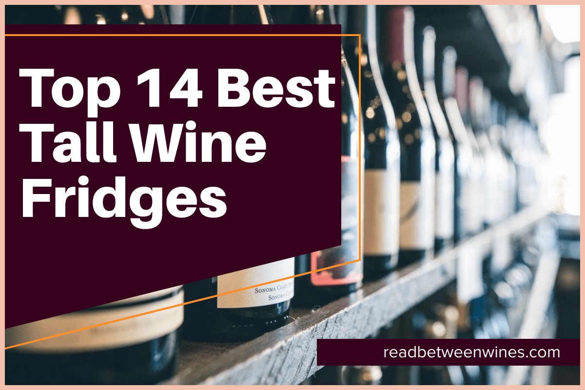 Best Tall Wine Fridges