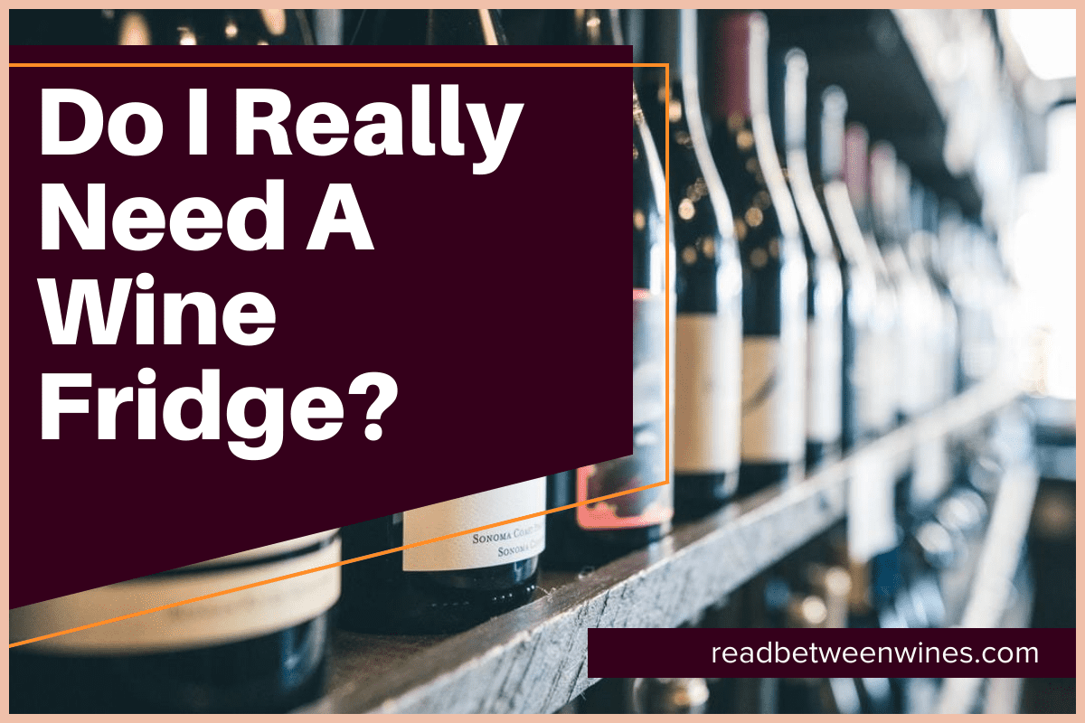 Do I Really Need A Wine Fridge?