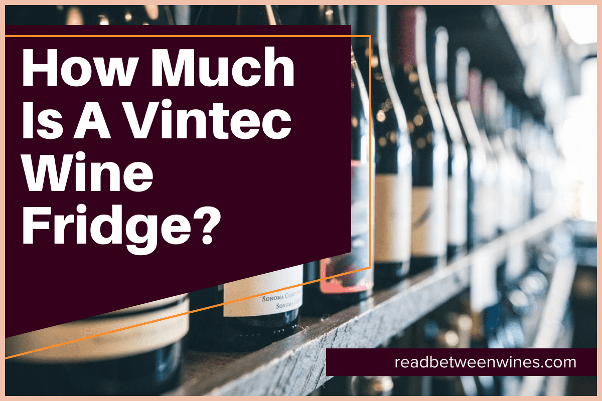 How Much Is A Vintec Wine Fridge?