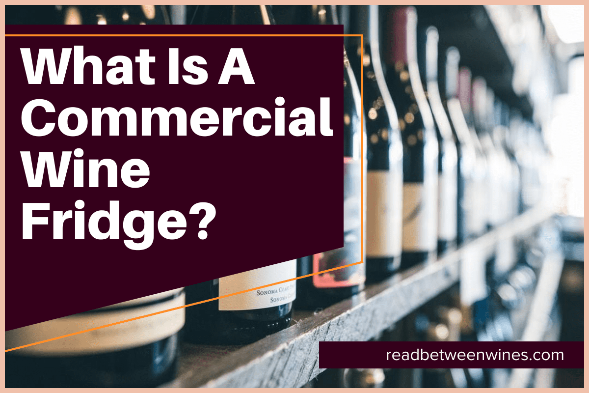 What Is A Commercial Wine Fridge?