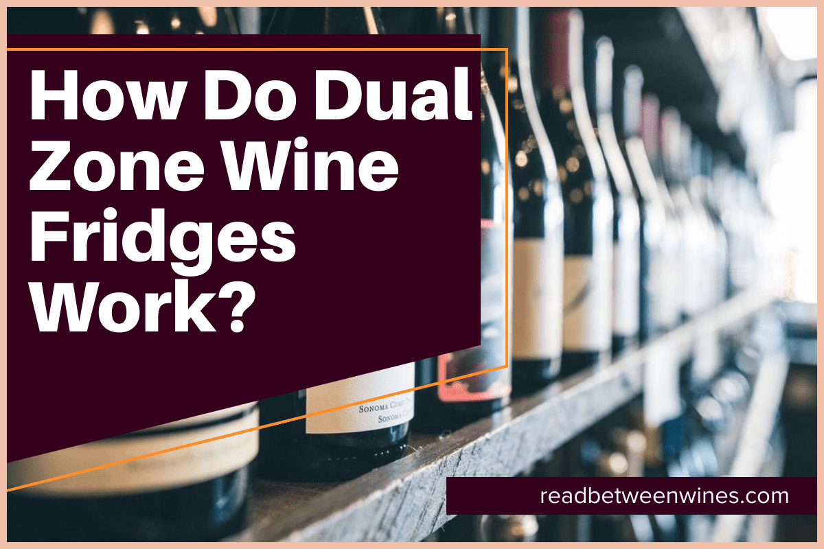 How Do Dual Zone Wine Fridges Work?