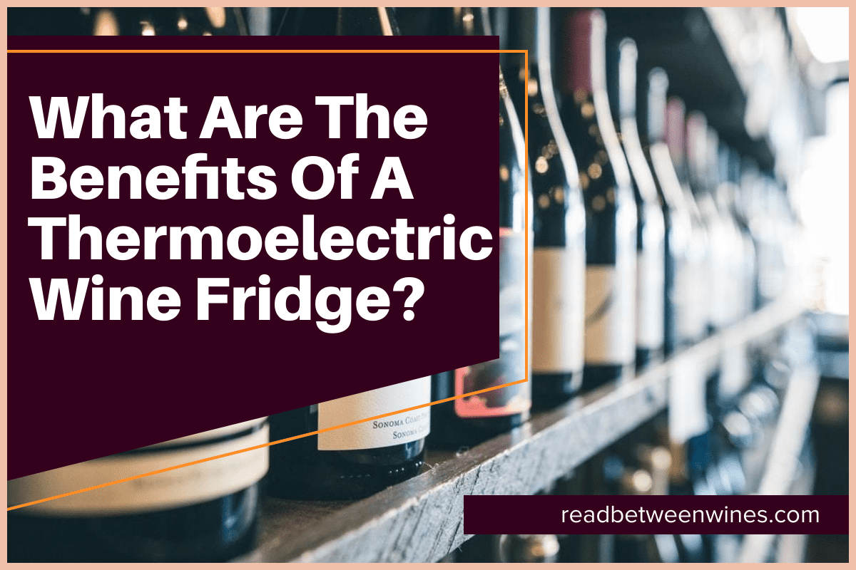 What Are The Benefits Of A Thermoelectric Wine Fridge?