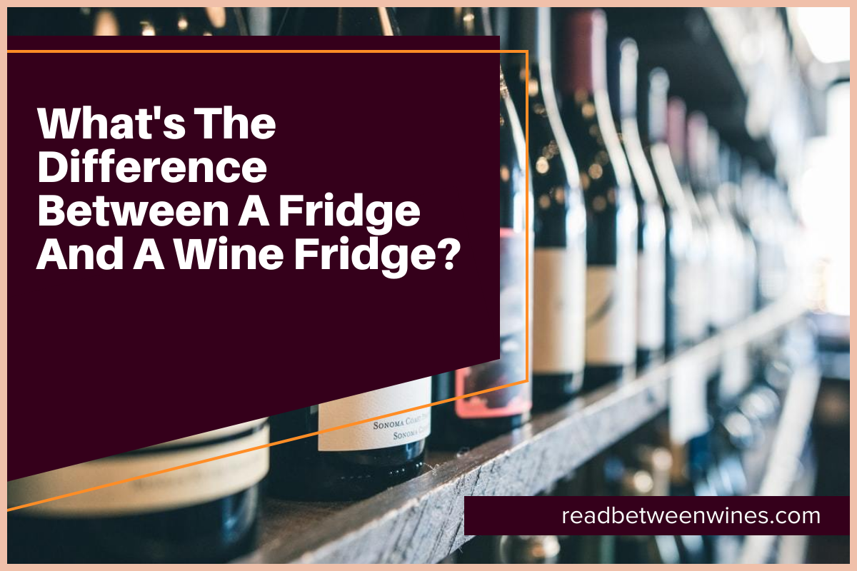 What's The Difference Between A Fridge And A Wine Fridge?