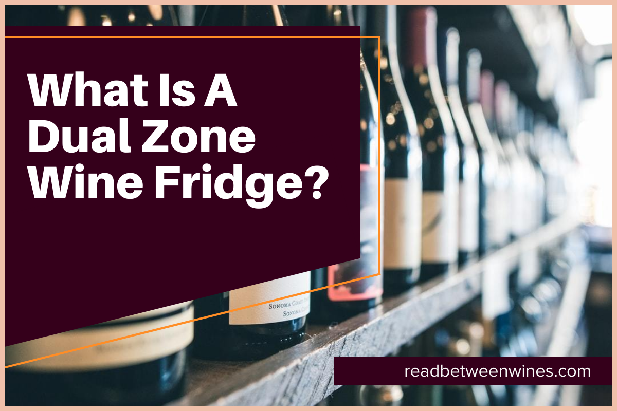 What Is A Dual Zone Wine Fridge?