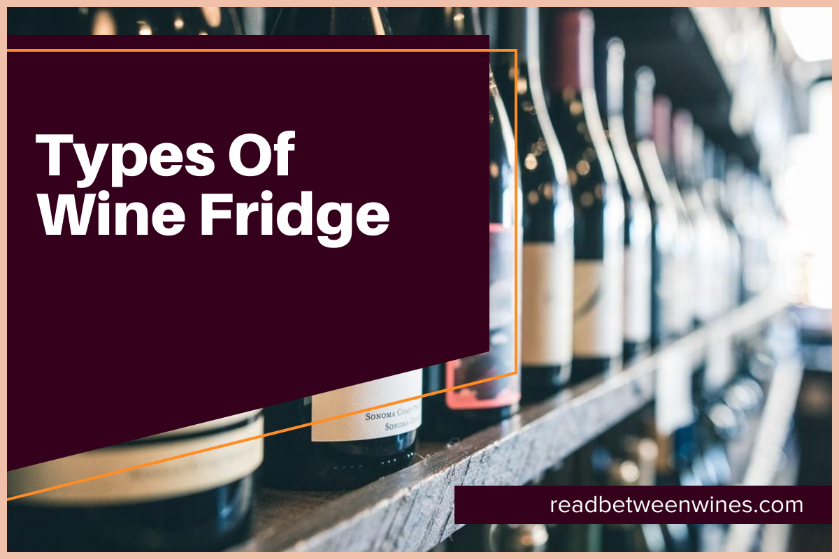 Types Of Wine Fridge