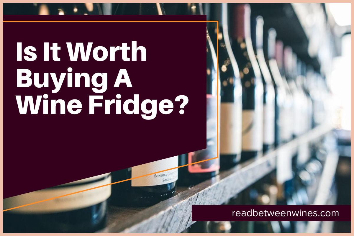 Is It Worth Buying A Wine Fridge?