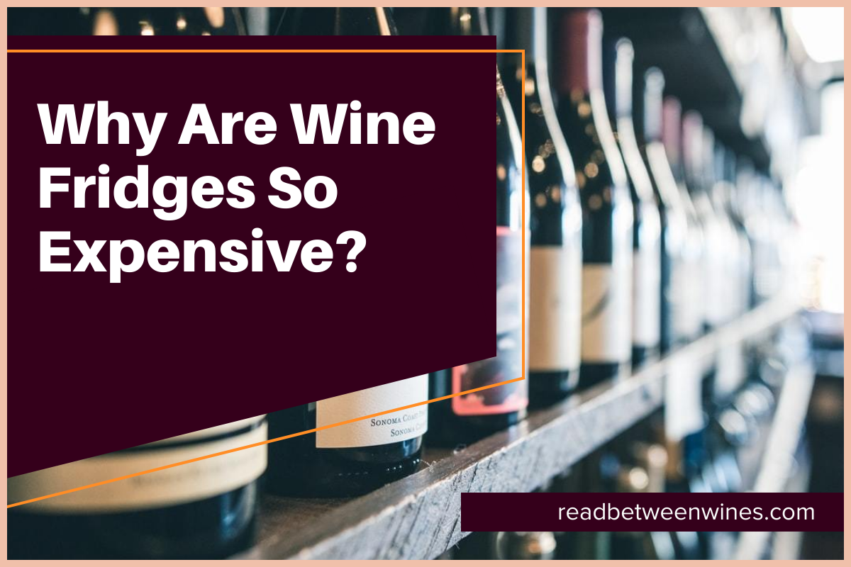 Why Are Wine Fridges So Expensive?