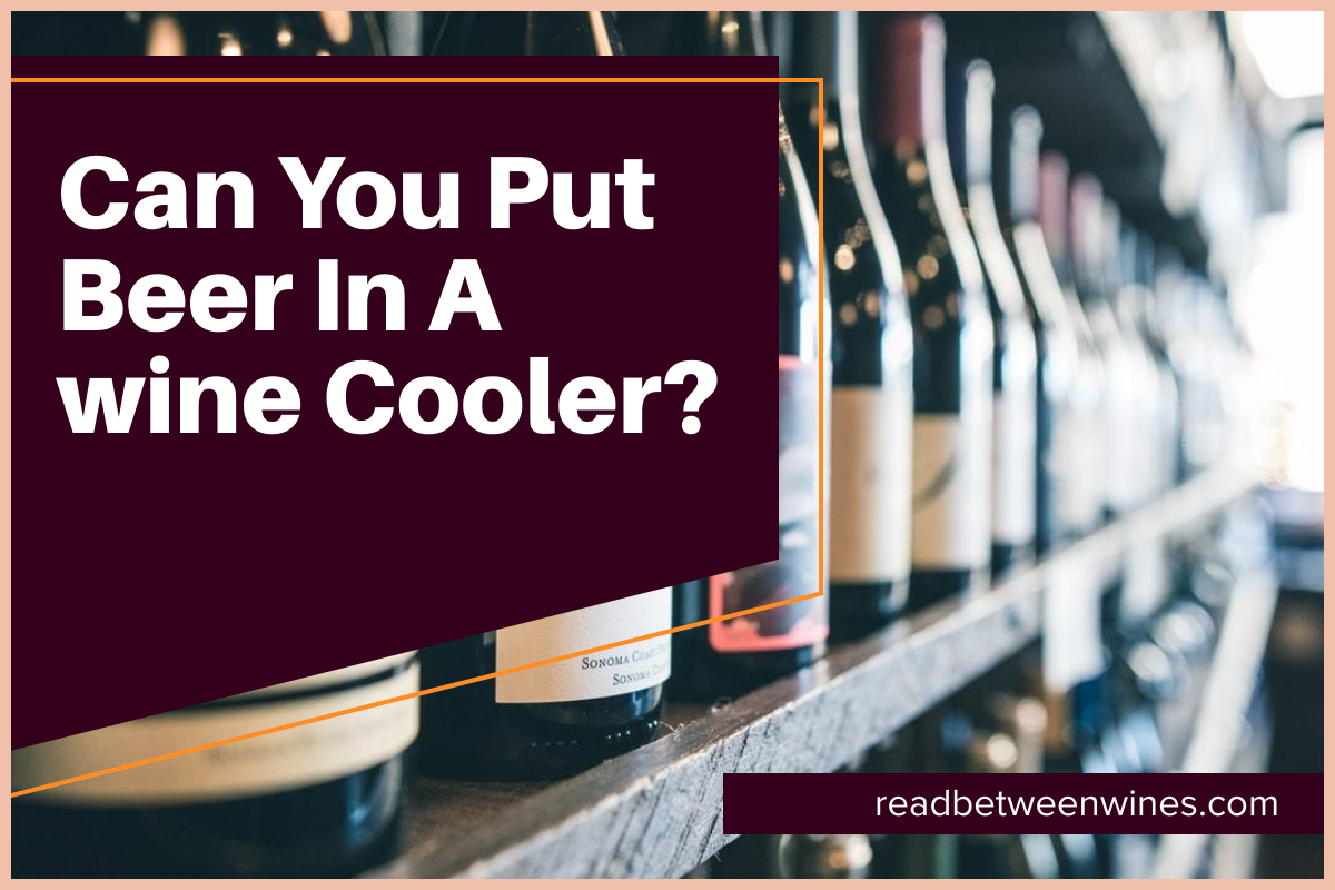 Can You Put Beer In A wine Cooler?