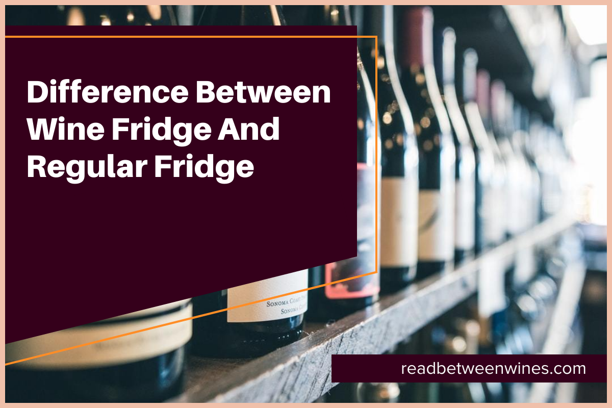 Difference Between Wine Fridge And Regular Fridge