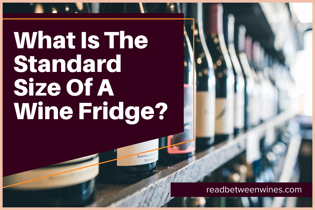 What Is The Standard Size Of A Wine Fridge?