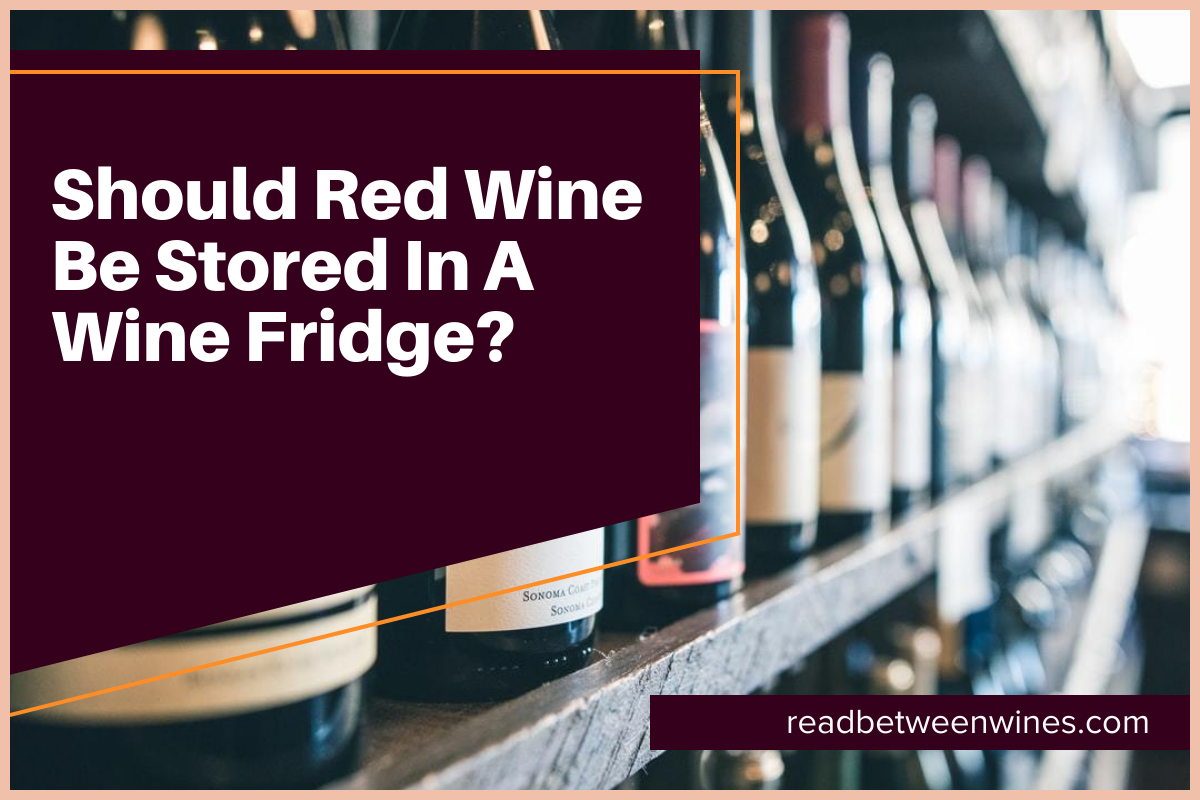 should red wine be stored in a wine fridge