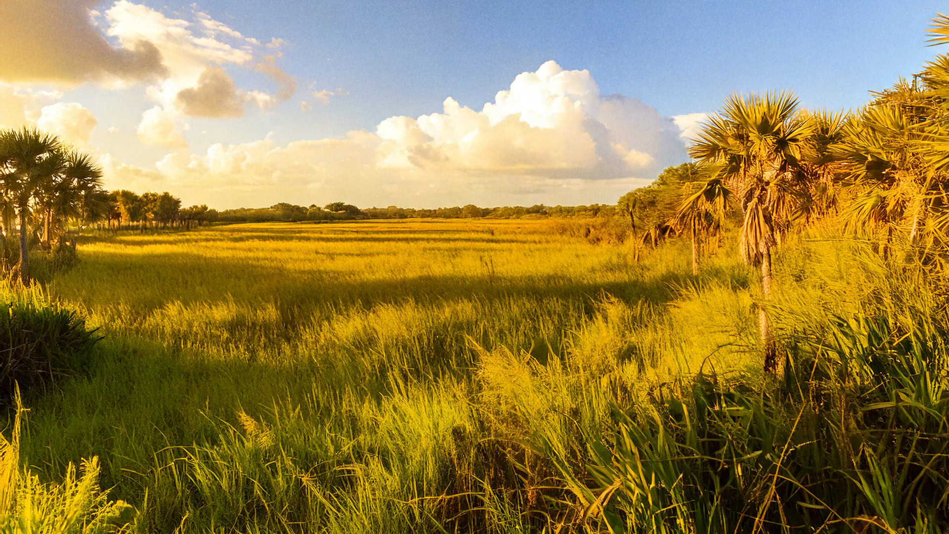 RGS-Okeechobee-Florida-Hunting-Property