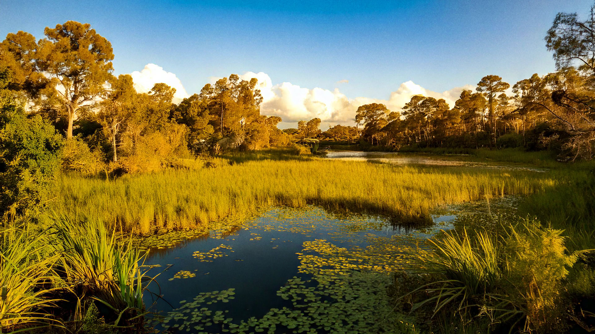 RGS-Venus-Florida-Hunting-Property