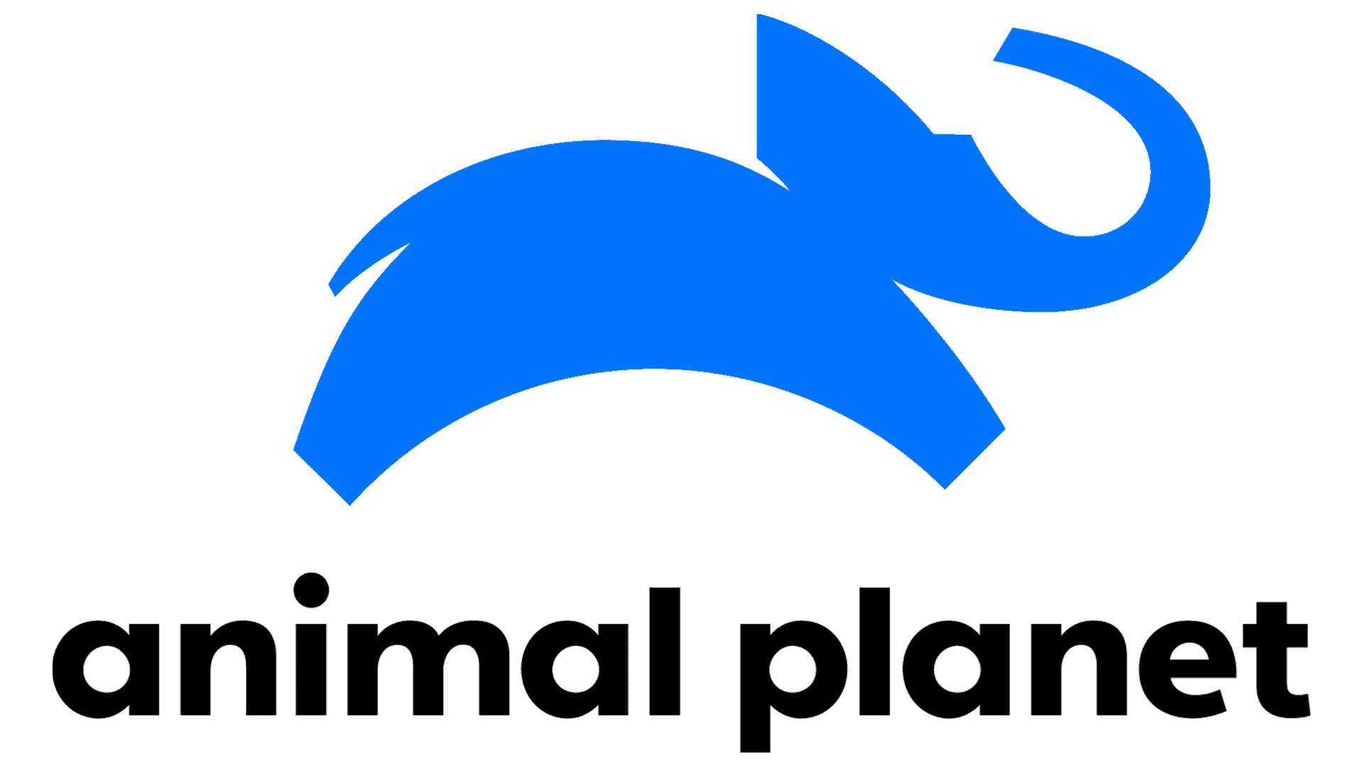 rgs-animal-planet-logo