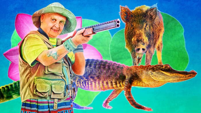 Grandma Dean aiming a shotgun with a wild hog and alligator in a dynamic hunting scene.