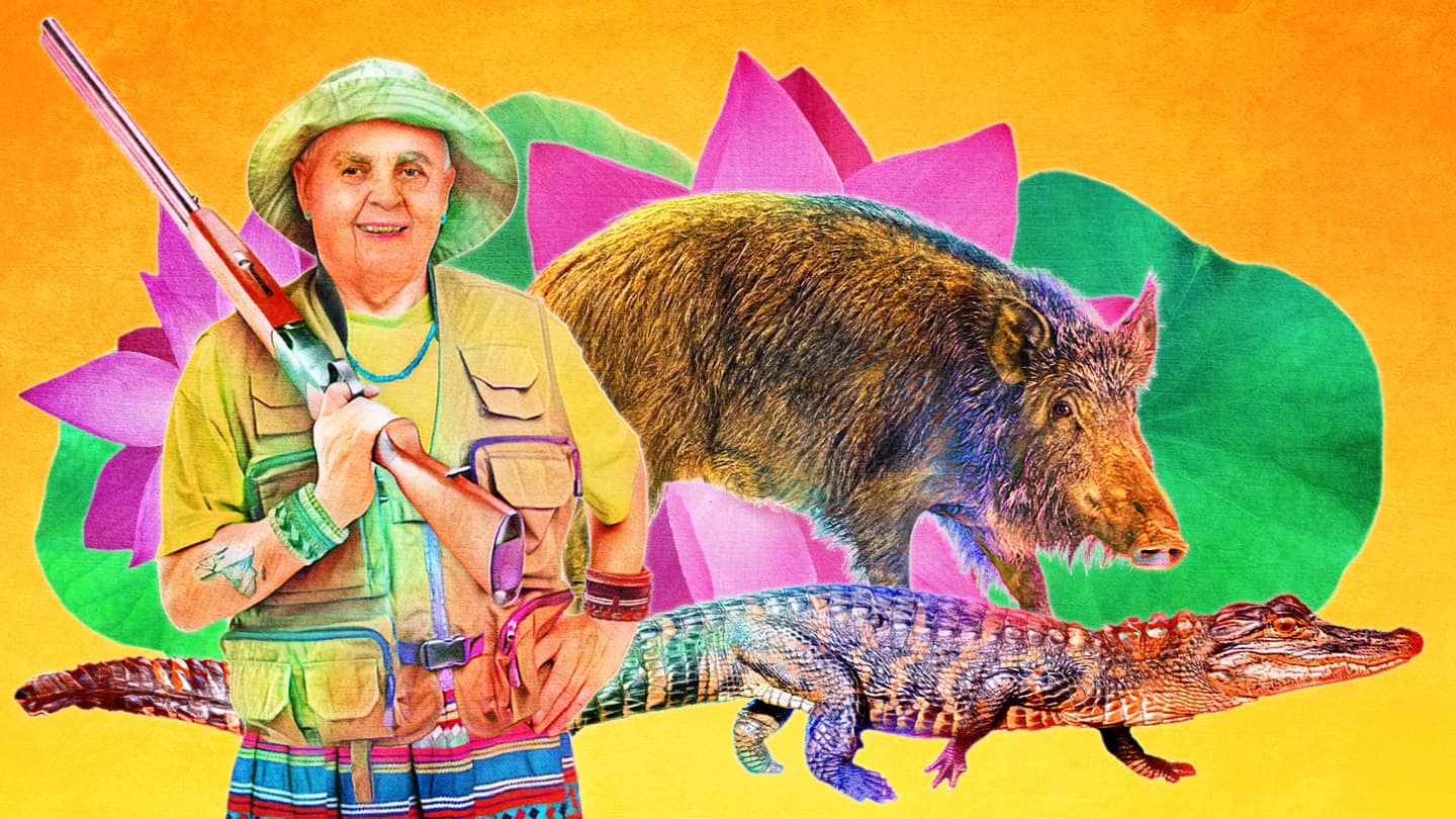 Grandma Dean smiling with a shotgun, with a colorful wild hog and alligator on a bright background.