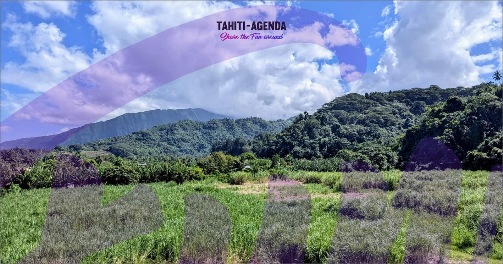 a-faire-au-mois-daout-visiter-de-la-distillerie-tamure-des-forets-aoa_1