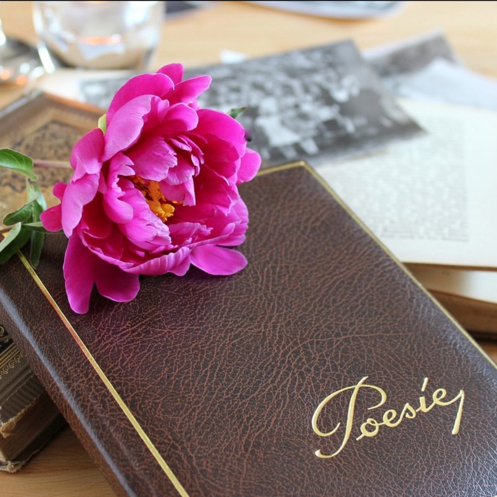 A photo of a flower on a journal.