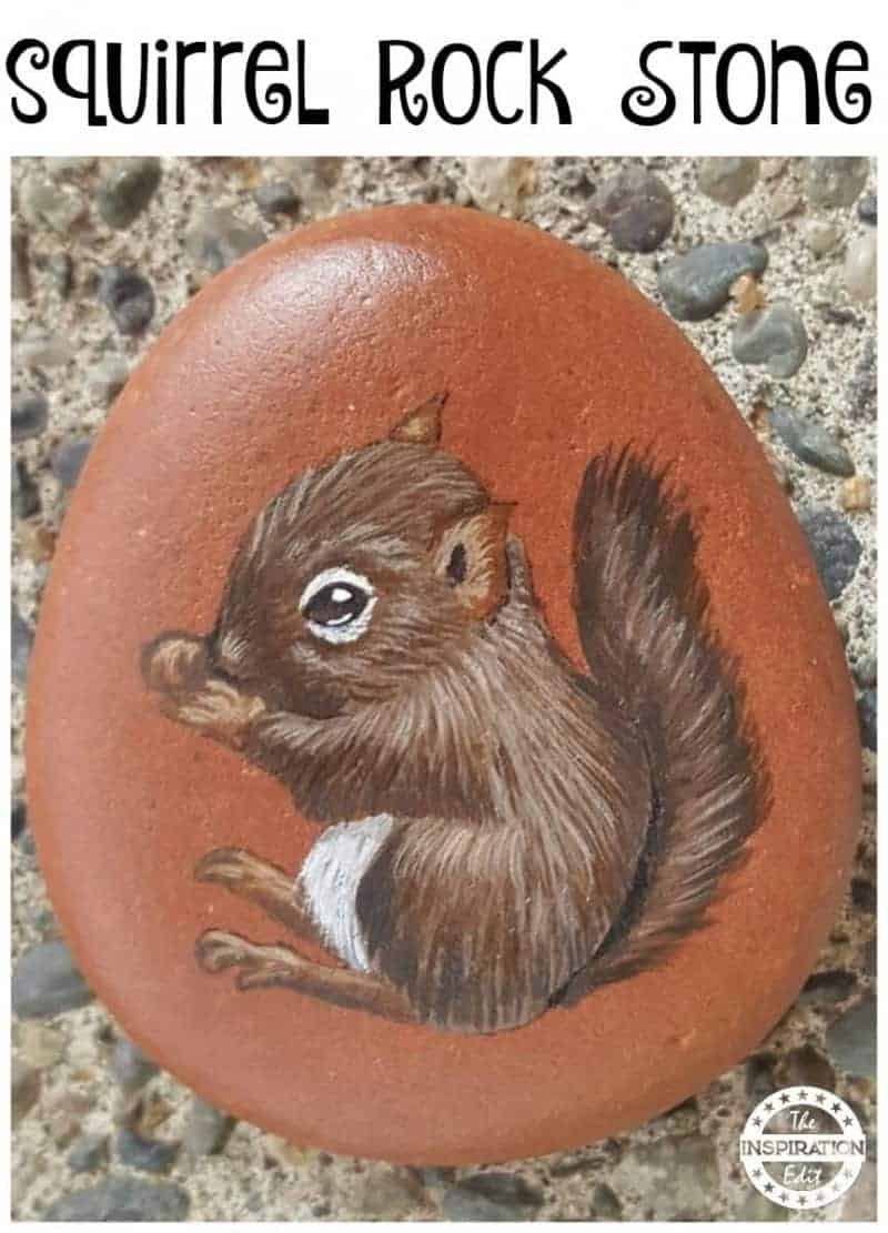 squirrel rock stone painting