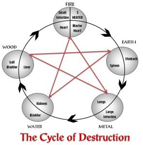 The Cycle of Destruction The Cycle of Destruction