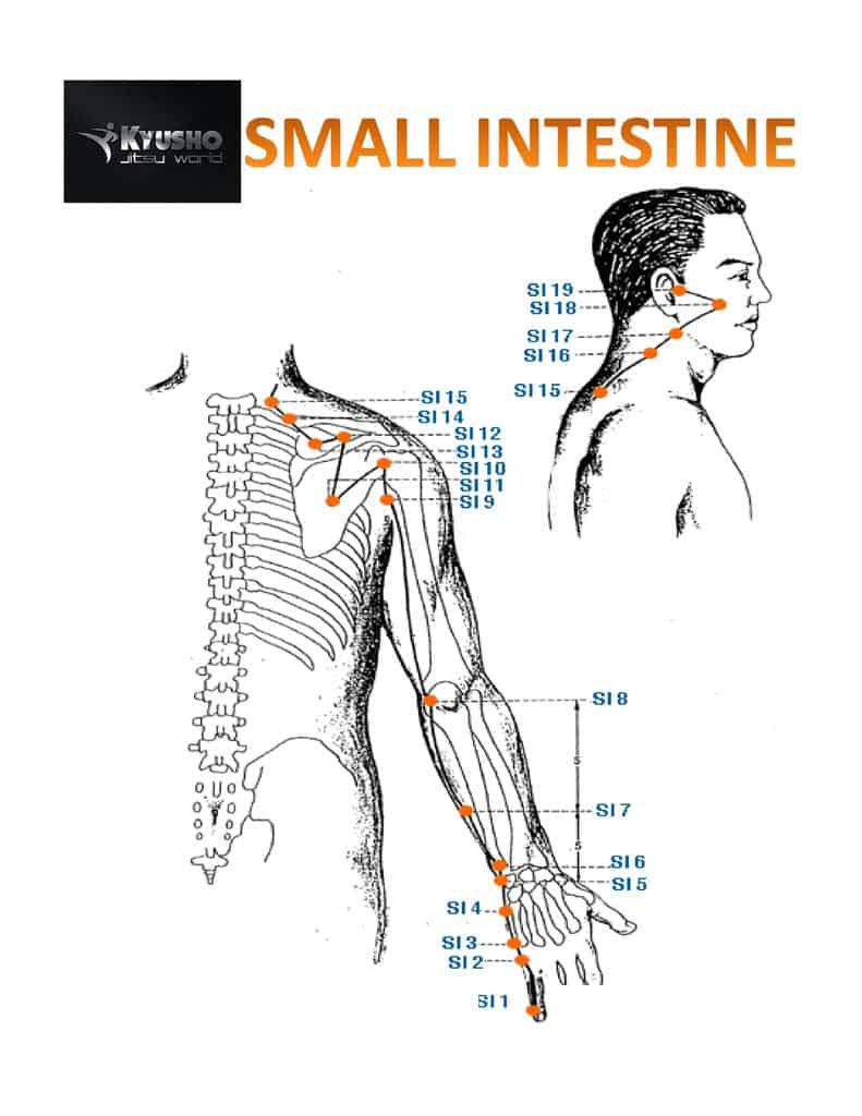 12 Kyusho Jitsu Meridians - Learn all about the Energy Paths of the Body