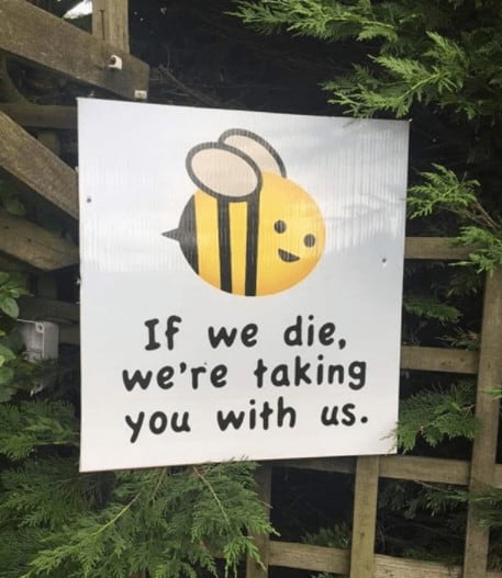 bee_die