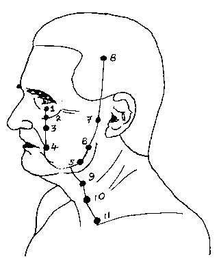 ST05 The Pressure Point Stomach 5